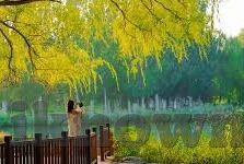 app糖心-探索数字乐园，app糖心的创新与魅力