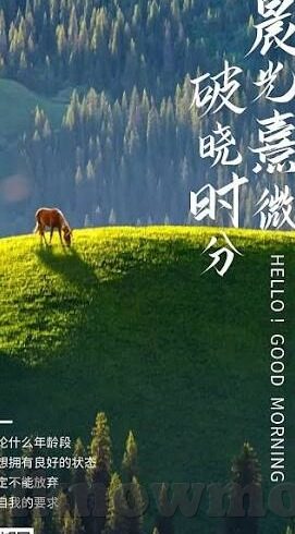 高清乱码一区二区三区-探索高清影视内容的多元化分区