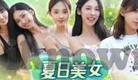 麻豆床传媒入口-麻豆床传媒入口，探索跨界的创意与交流新平台