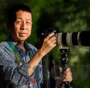 麻豆传媒司徒丹妮-麻豆传媒，司徒丹妮的光影之旅