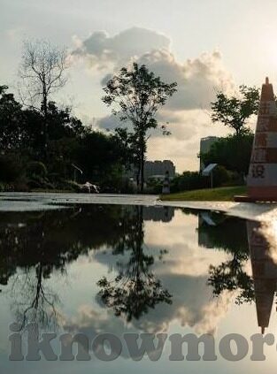 糖心app软件ios-揭秘糖心App软件——iOS平台的甜蜜陷阱